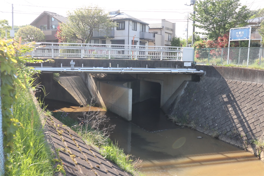 f:id:chizuchizuko:20220503235302j:image