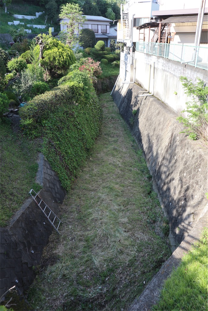 f:id:chizuchizuko:20220503235451j:image