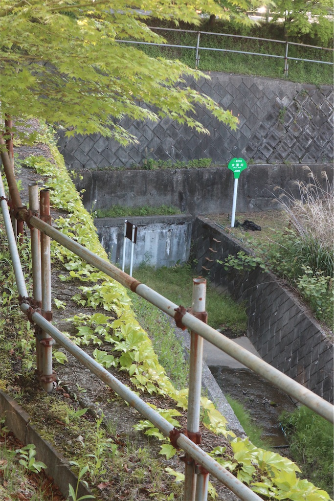 f:id:chizuchizuko:20220503235454j:image