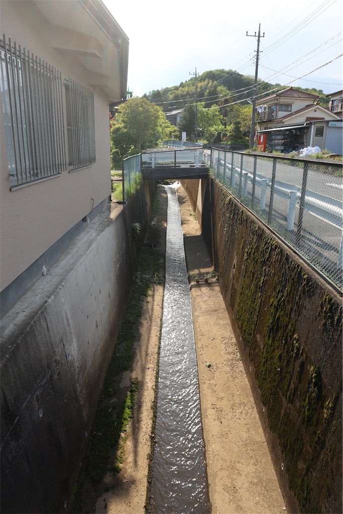 f:id:chizuchizuko:20220503235635j:image