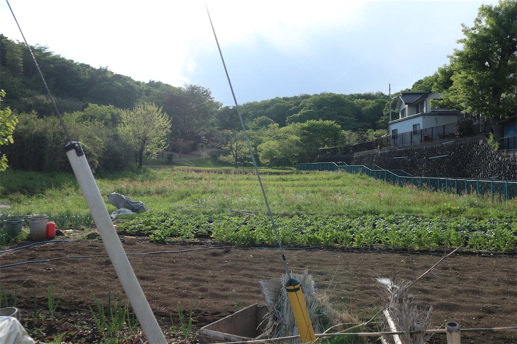 f:id:chizuchizuko:20220503235640j:image