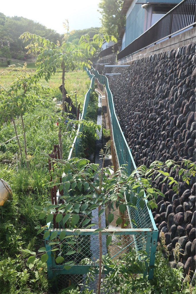 f:id:chizuchizuko:20220503235643j:image