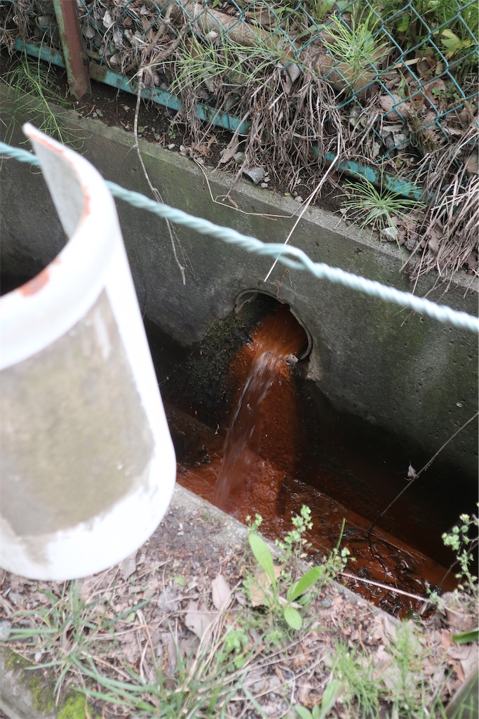 f:id:chizuchizuko:20220503235717j:image