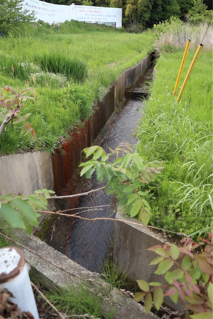 f:id:chizuchizuko:20220503235726j:image