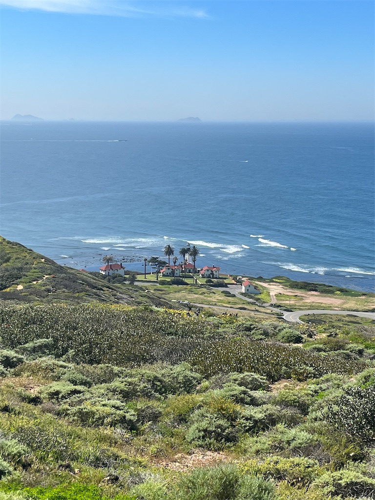 f:id:chizuchizuko:20230328032305j:image f:id:chizuchizuko:20230328032305j:image