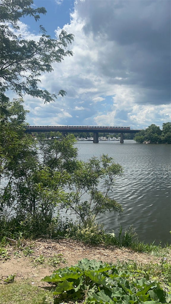 家の近くの川 地図子、ミスティック川を歩く - ふと思い立って、プチ冒険