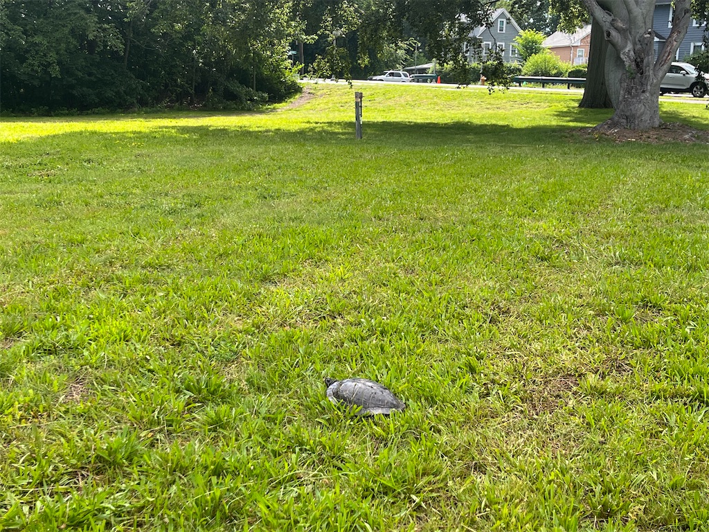 地図子、ミスティック川を歩く - ふと思い立って、プチ冒険