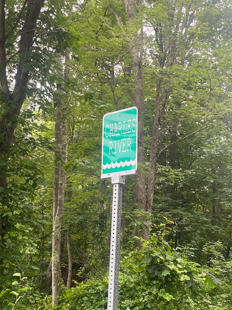 f:id:chizuchizuko:20230628031004j:image f:id:chizuchizuko:20230628031004j:image