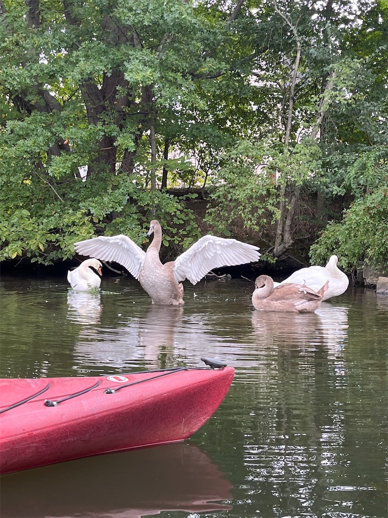 地図子、ミスティック川を歩く - ふと思い立って、プチ冒険