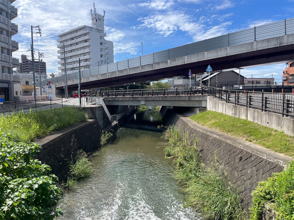 f:id:chizuchizuko:20230923115228j:image