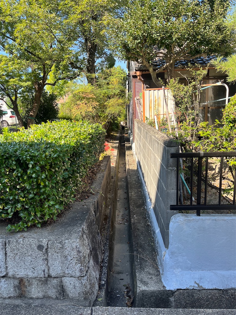 f:id:chizuchizuko:20231002183545j:image f:id:chizuchizuko:20231002183545j:image