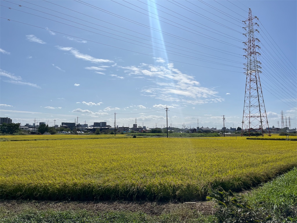f:id:chizuchizuko:20231006185920j:image