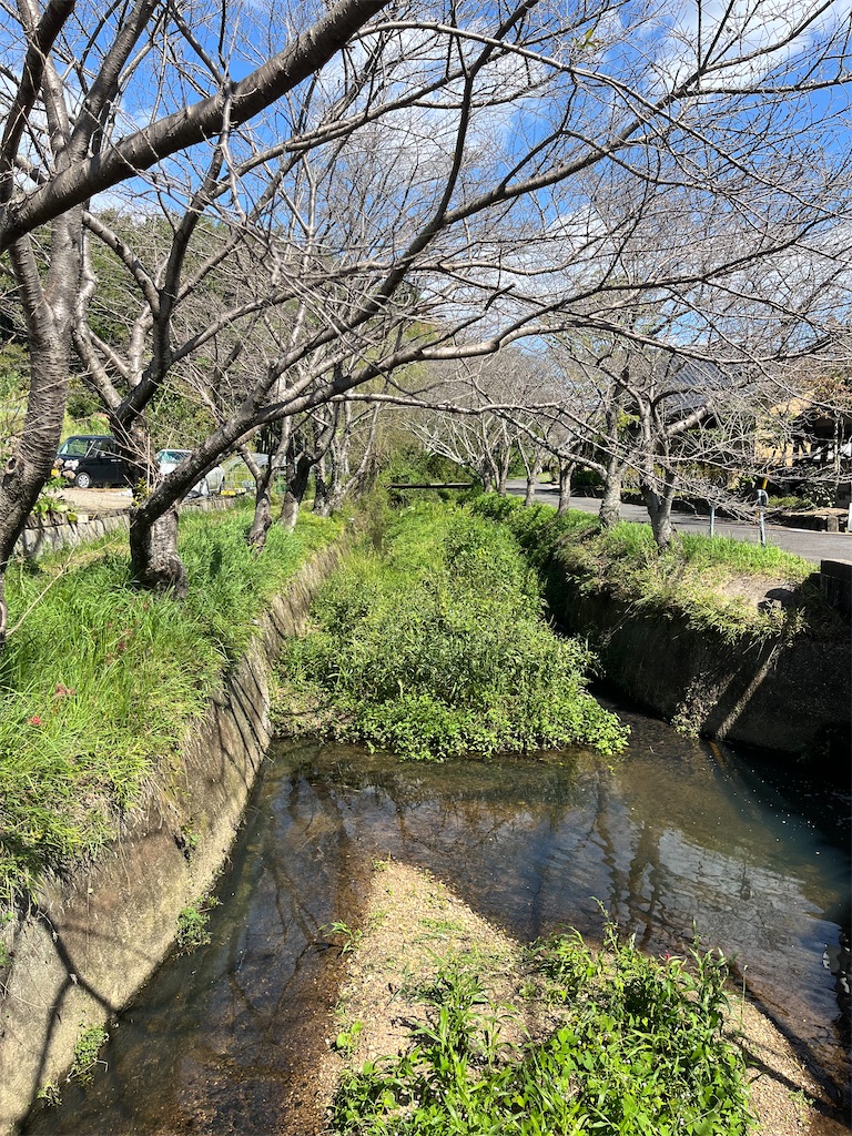 f:id:chizuchizuko:20231006185926j:image