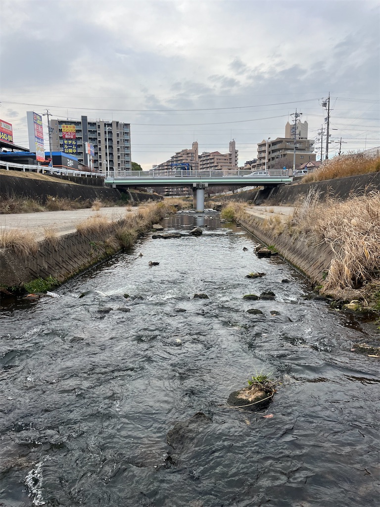 f:id:chizuchizuko:20240110200641j:image