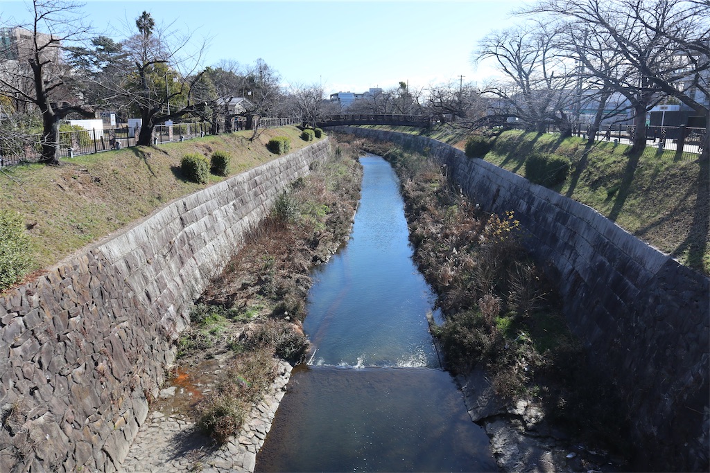 f:id:chizuchizuko:20240118173836j:image f:id:chizuchizuko:20240118173836j:image