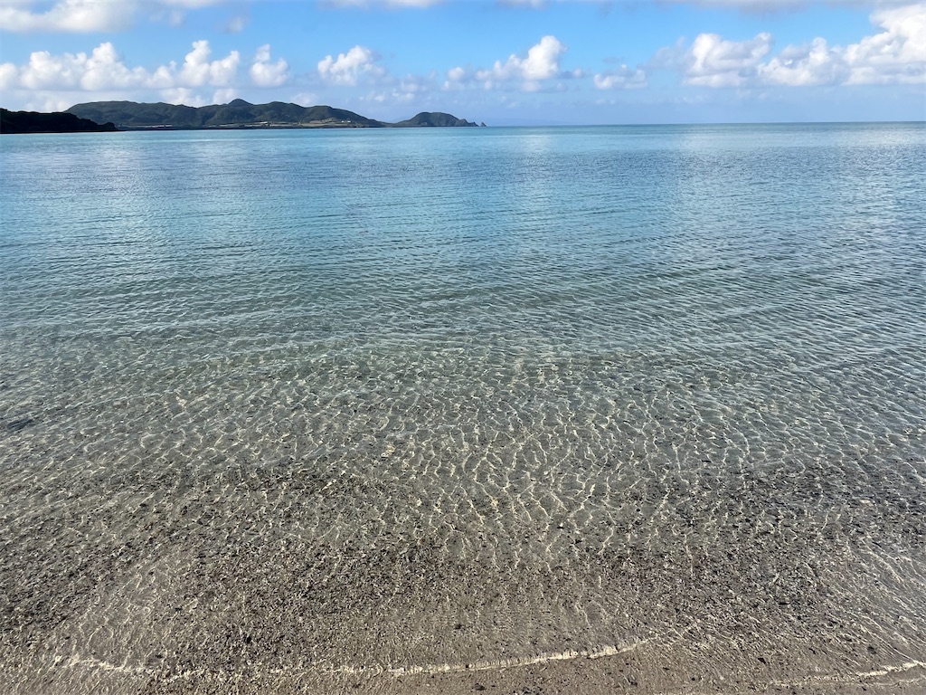 f:id:chizuchizuko:20240203183636j:image f:id:chizuchizuko:20240203183636j:image