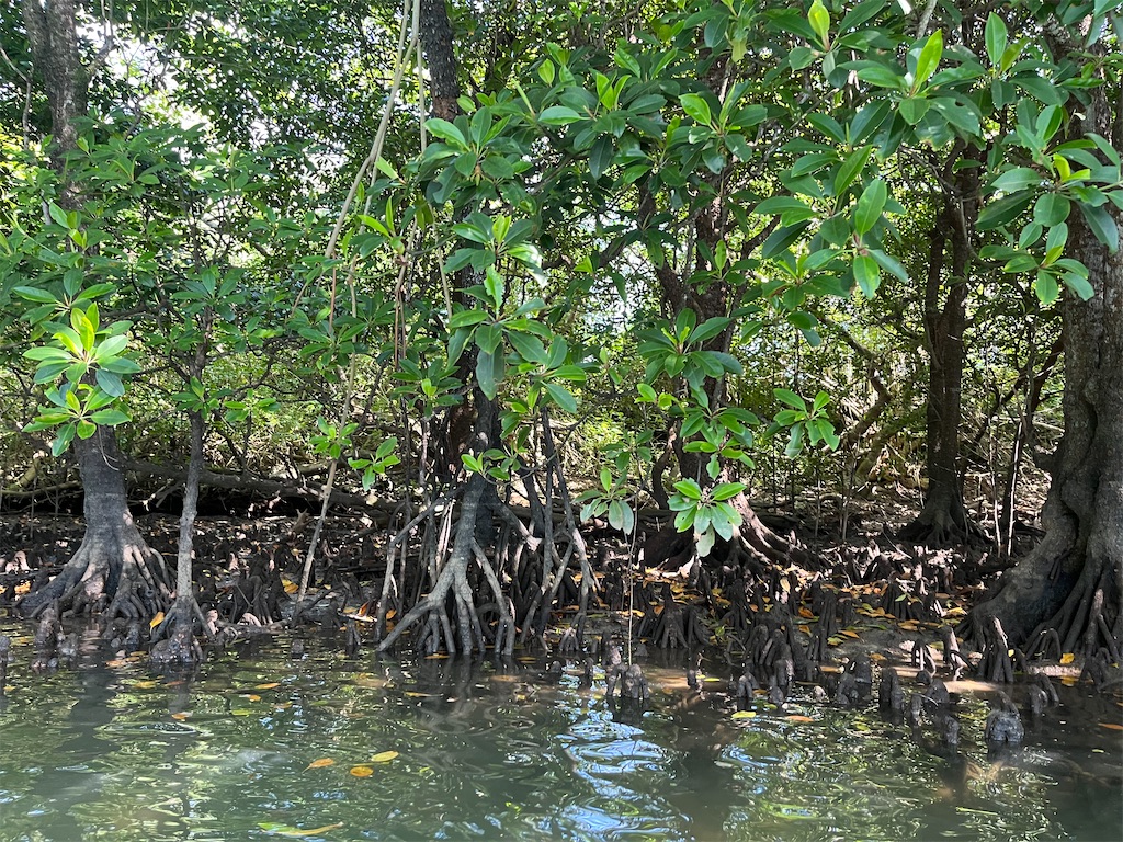 f:id:chizuchizuko:20240203202140j:image f:id:chizuchizuko:20240203202140j:image