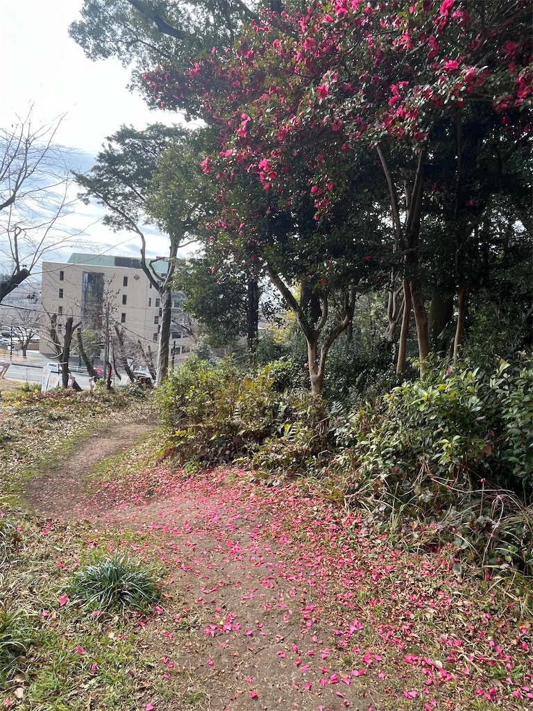 f:id:chizuchizuko:20240217160722j:image f:id:chizuchizuko:20240217160722j:image