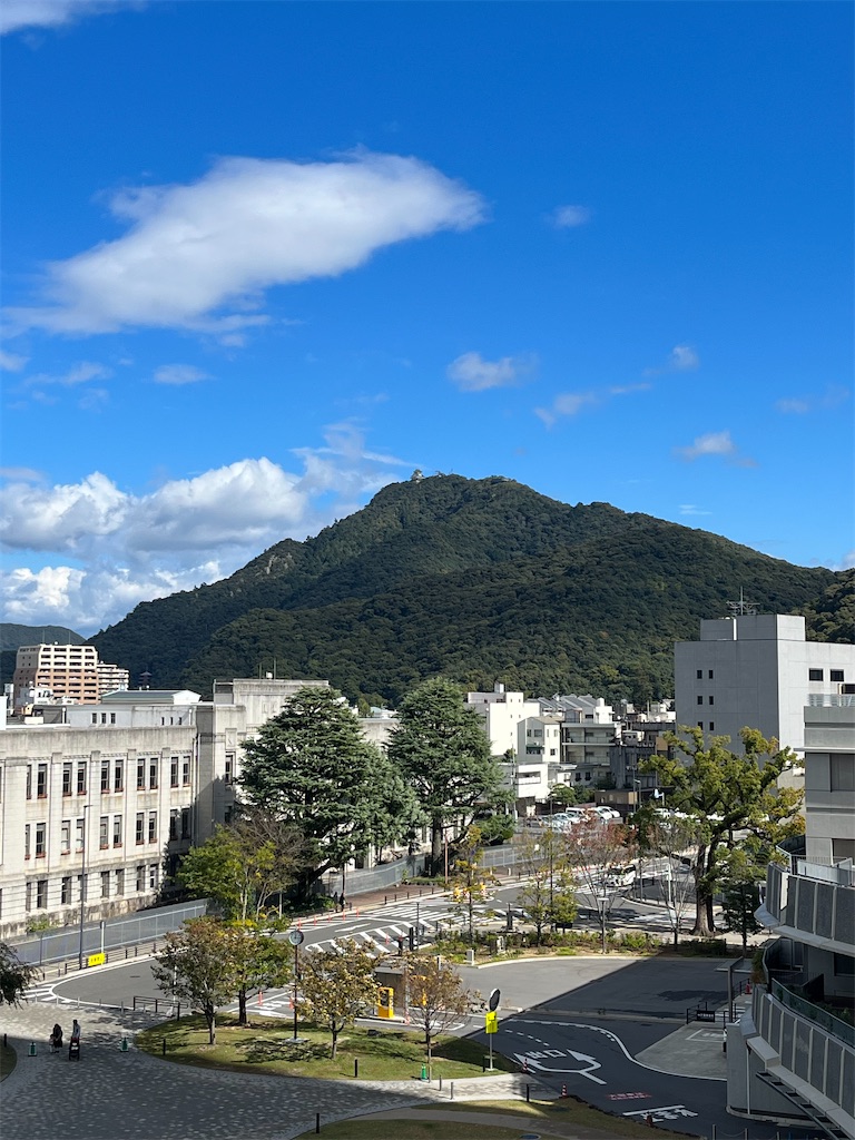 f:id:chizuchizuko:20240217161018j:image f:id:chizuchizuko:20240217161018j:image