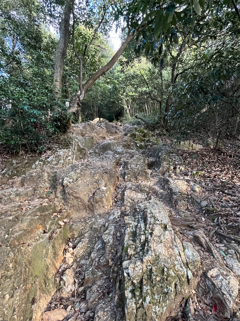 f:id:chizuchizuko:20240217161023j:image f:id:chizuchizuko:20240217161023j:image