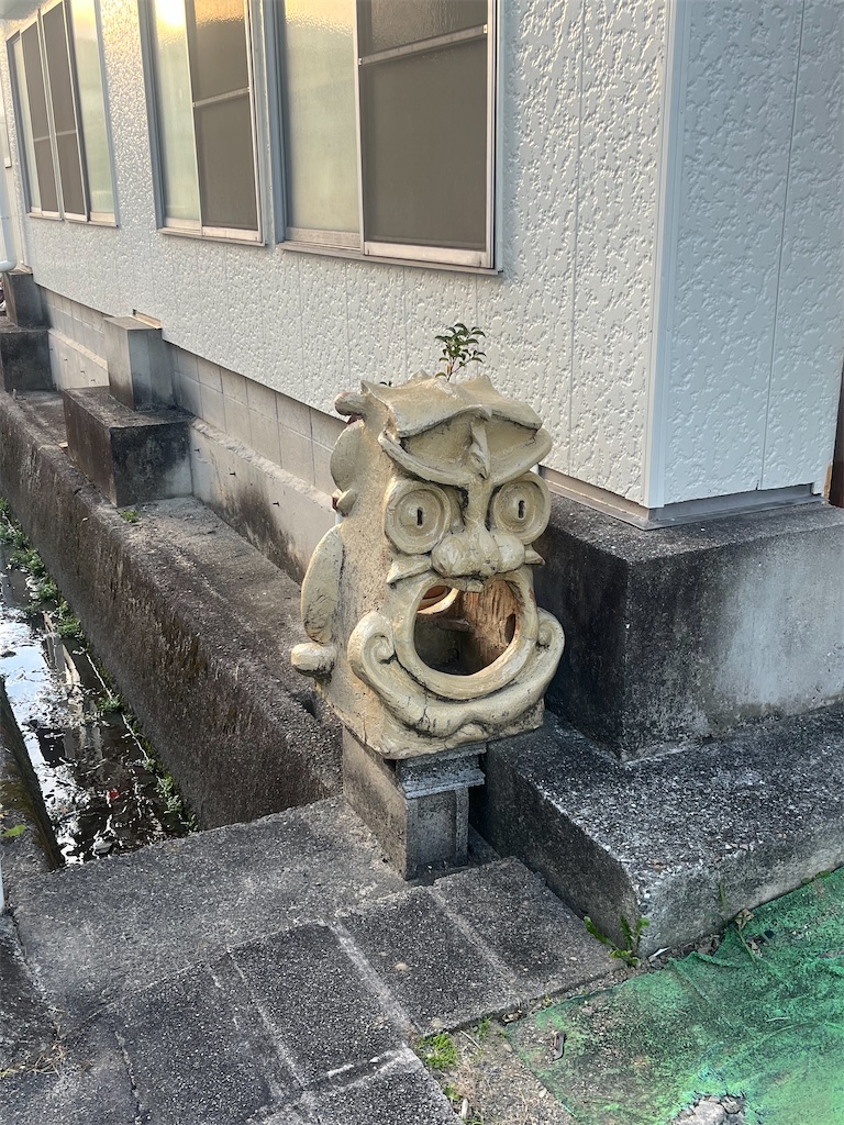 f:id:chizuchizuko:20240312151157j:image f:id:chizuchizuko:20240312151157j:image