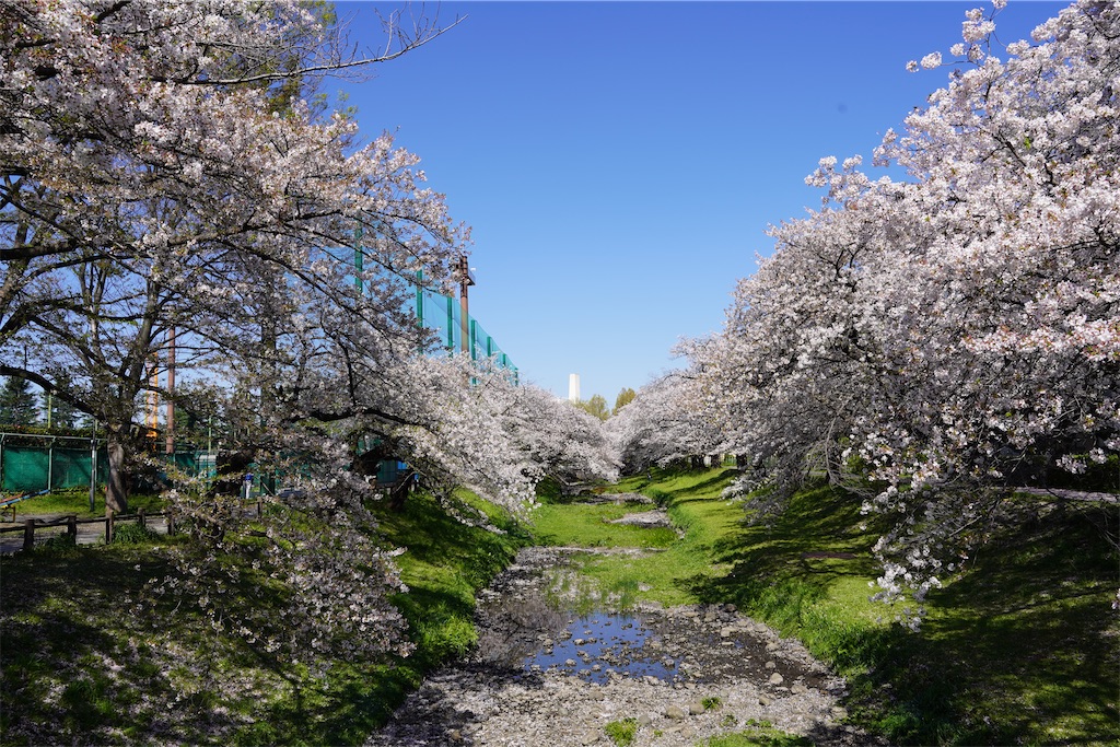 f:id:chizuchizuko:20240414075206j:image