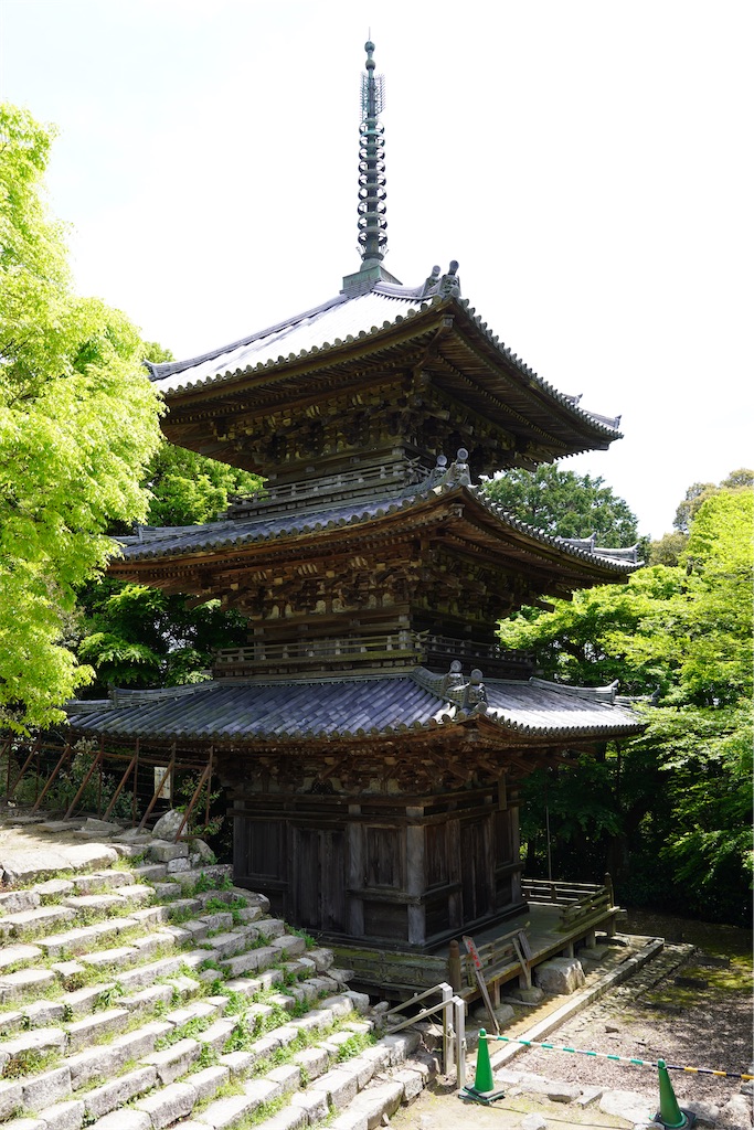 f:id:chizuchizuko:20240430151238j:image f:id:chizuchizuko:20240430151238j:image