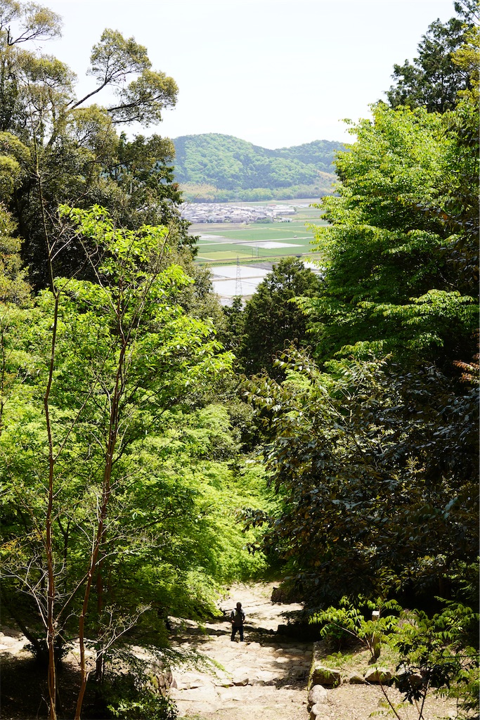 f:id:chizuchizuko:20240430151253j:image f:id:chizuchizuko:20240430151253j:image