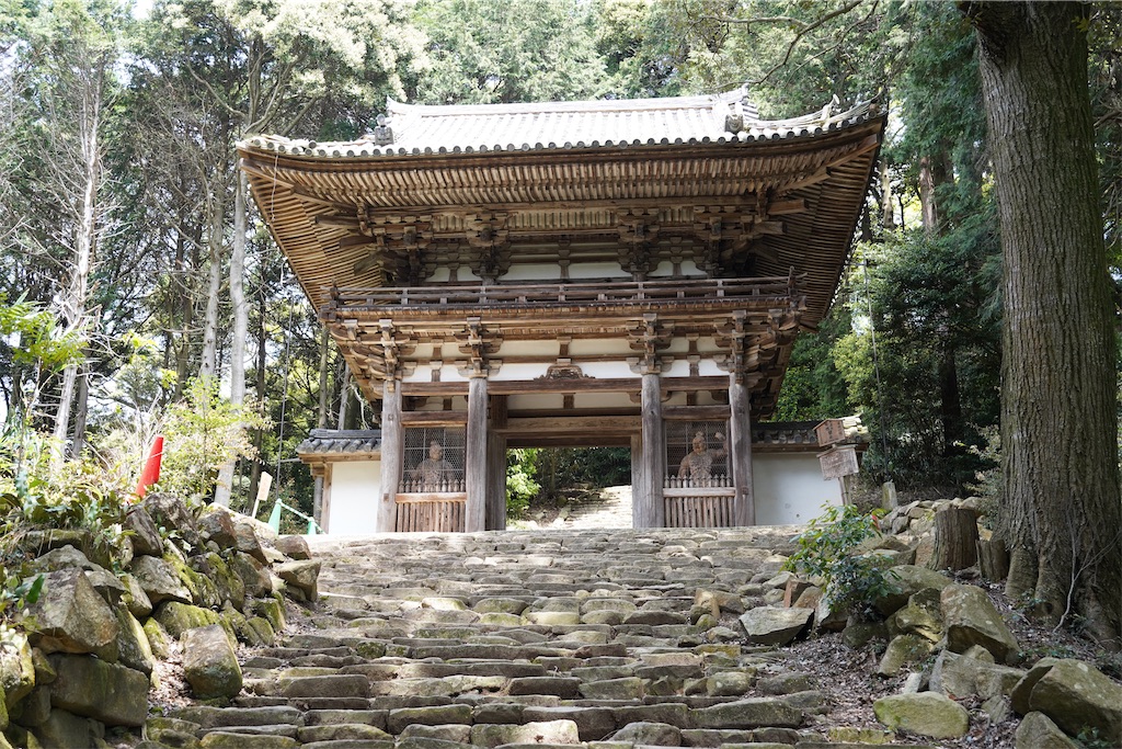 f:id:chizuchizuko:20240430151256j:image f:id:chizuchizuko:20240430151256j:image