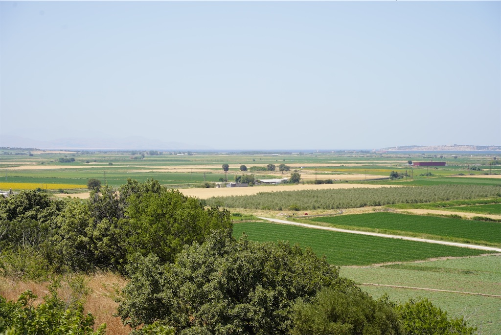 f:id:chizuchizuko:20240717004341j:image f:id:chizuchizuko:20240717004341j:image