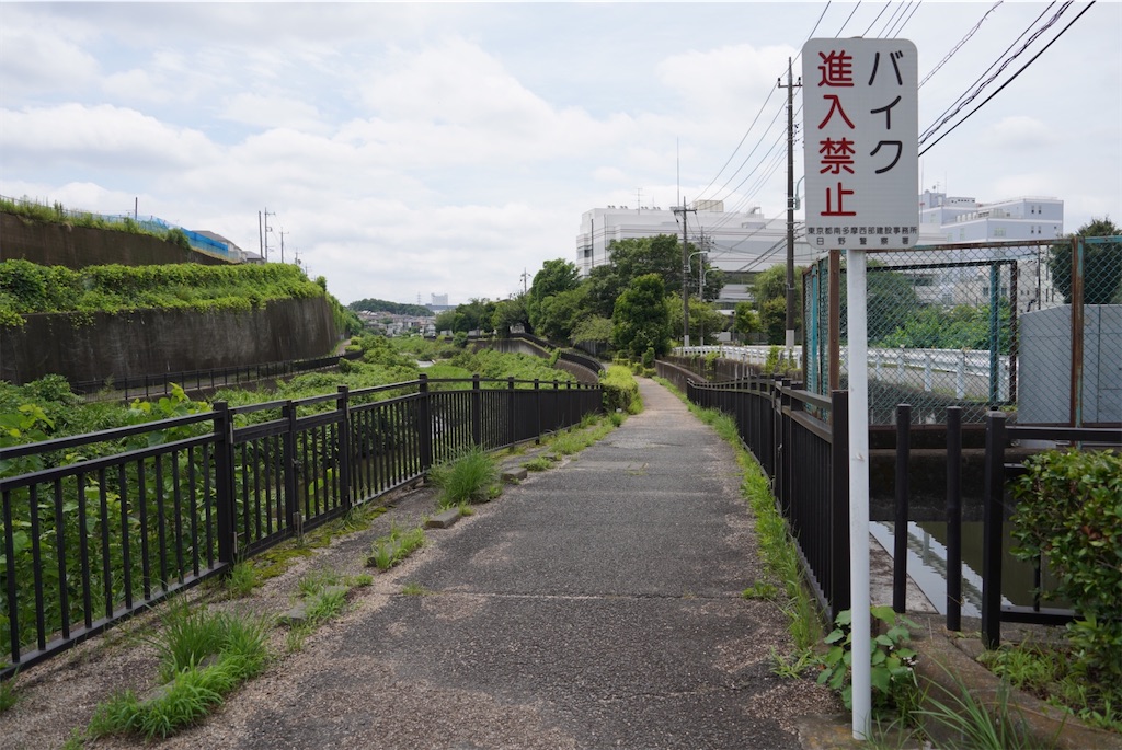 f:id:chizuchizuko:20240718000922j:image