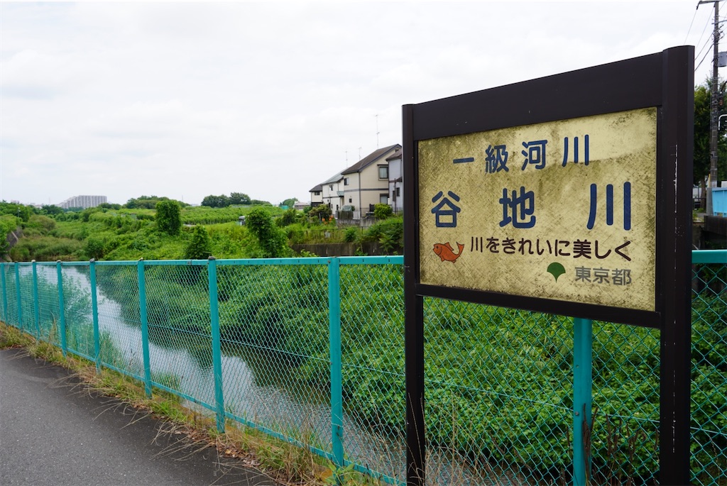 f:id:chizuchizuko:20240718000926j:image