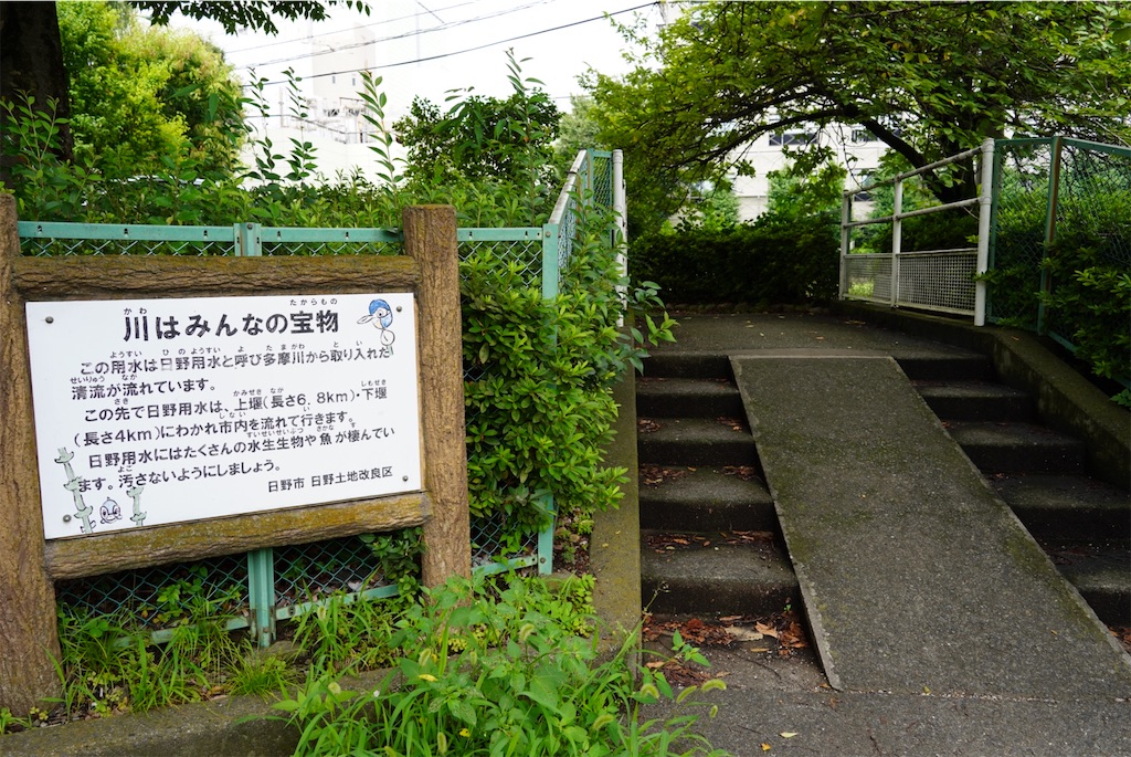 f:id:chizuchizuko:20240718000931j:image