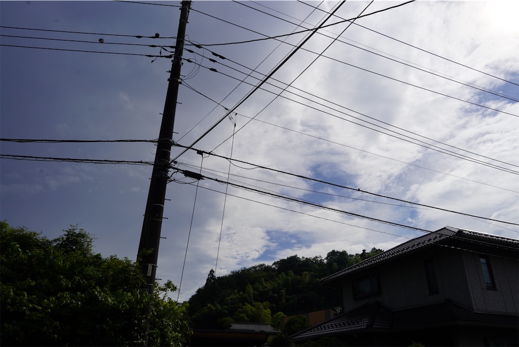 f:id:chizuchizuko:20240718001215j:image