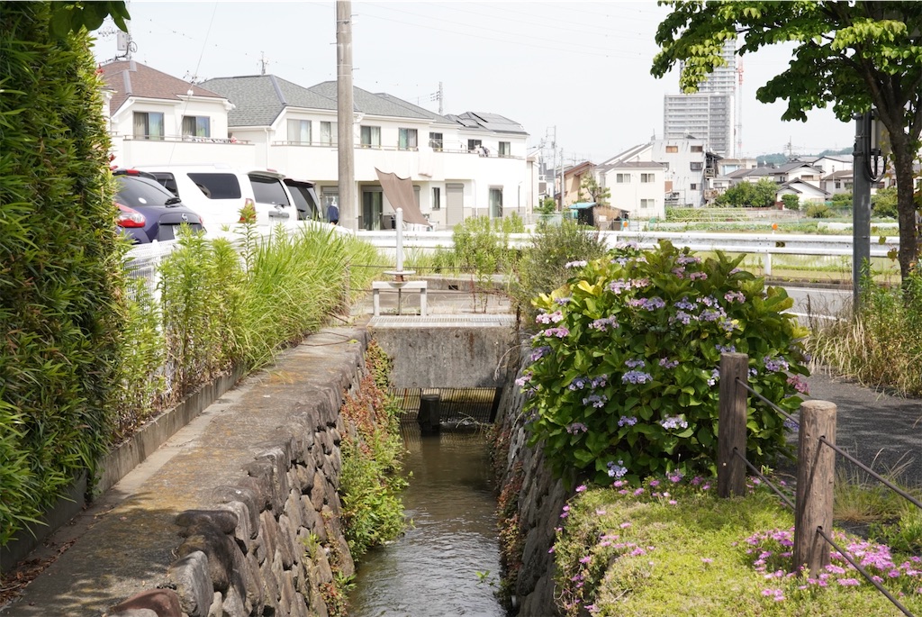 f:id:chizuchizuko:20240803215952j:image