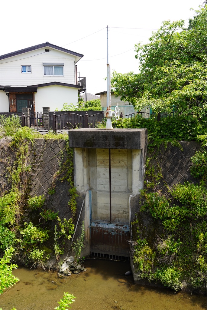 f:id:chizuchizuko:20240803220319j:image