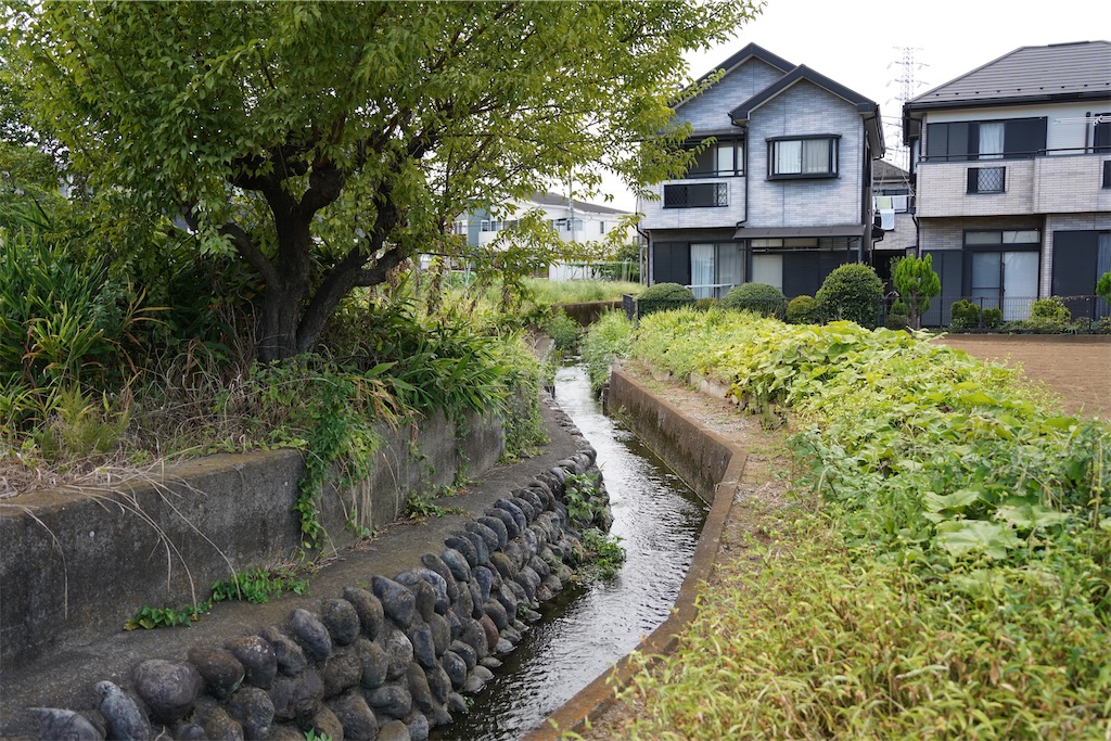 f:id:chizuchizuko:20240830123930j:image