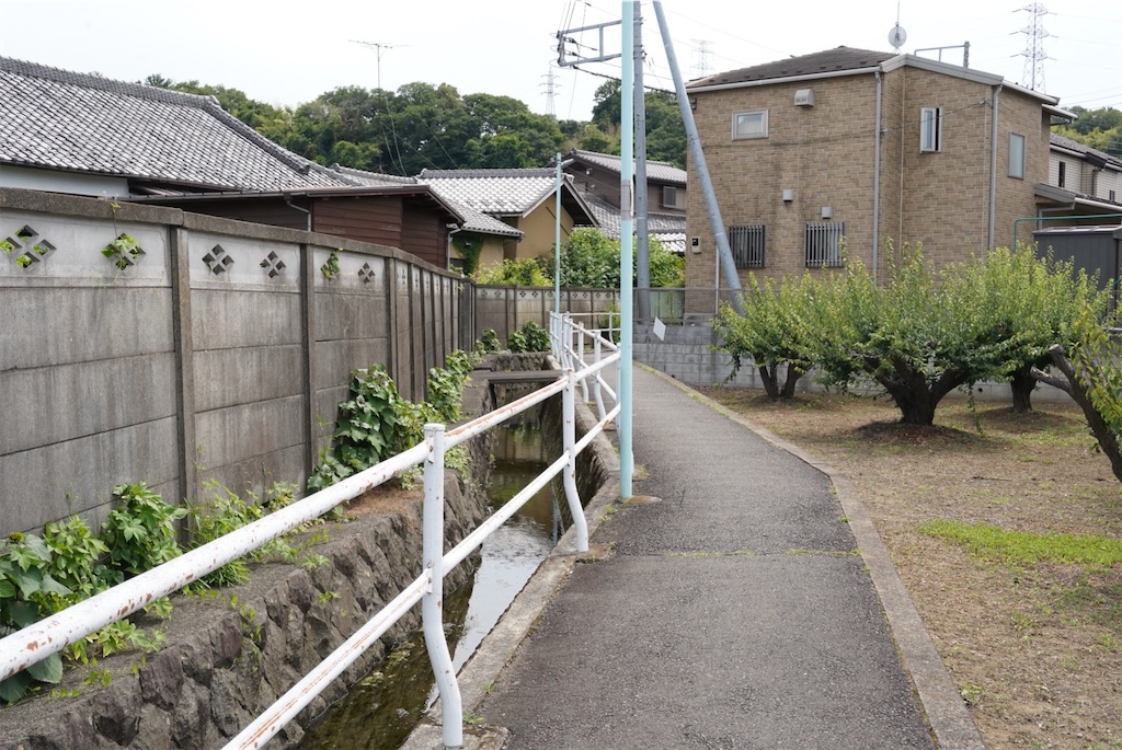 f:id:chizuchizuko:20240830124036j:image
