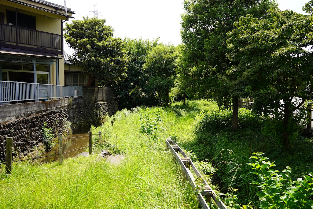 f:id:chizuchizuko:20240912211402j:image