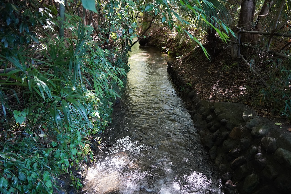 f:id:chizuchizuko:20241011101937j:image