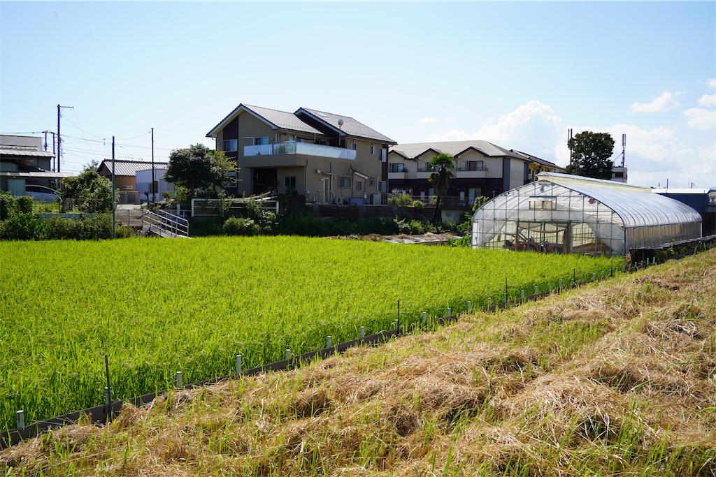 f:id:chizuchizuko:20241120220935j:image f:id:chizuchizuko:20241120220935j:image
