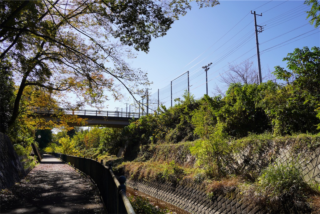 f:id:chizuchizuko:20241213162434j:image f:id:chizuchizuko:20241213162434j:image