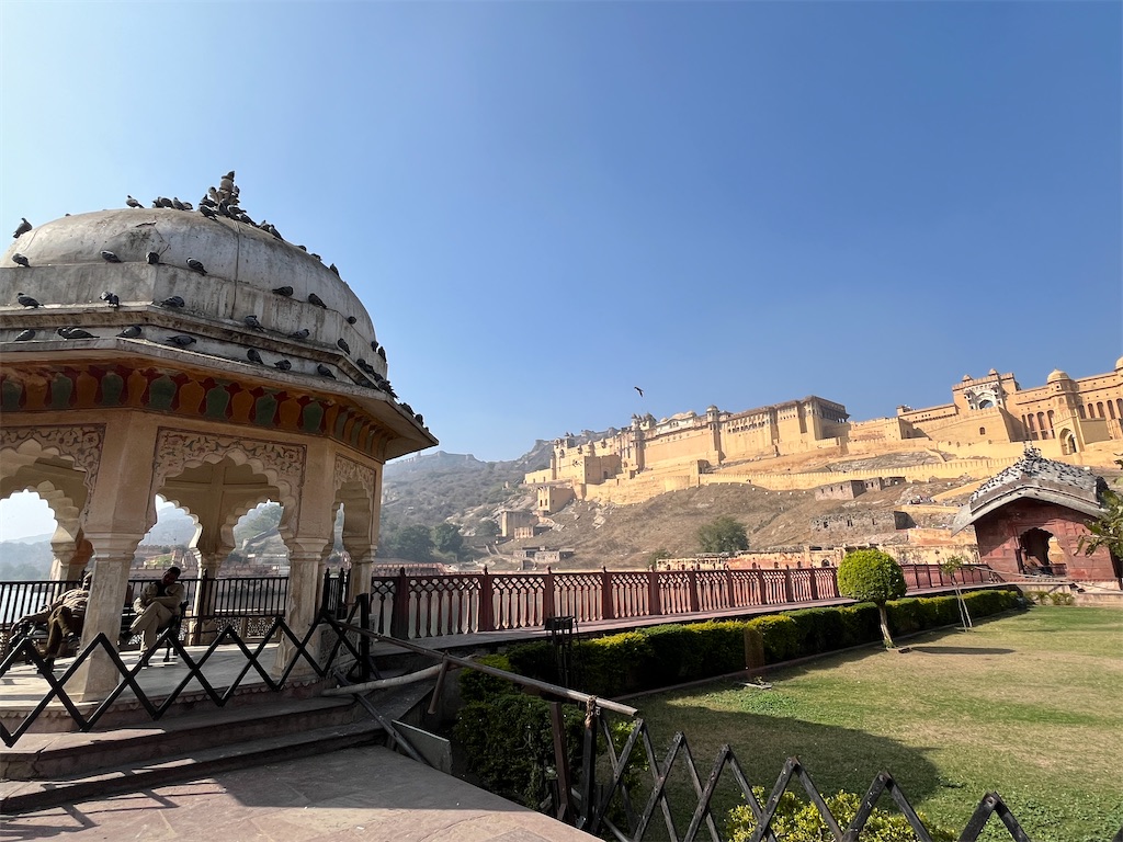 f:id:chizuchizuko:20250222205444j:image f:id:chizuchizuko:20250222205444j:image