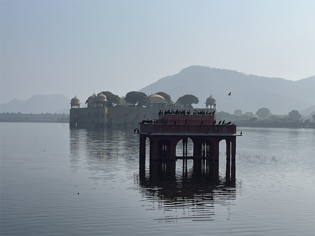 f:id:chizuchizuko:20250222205500j:image f:id:chizuchizuko:20250222205500j:image