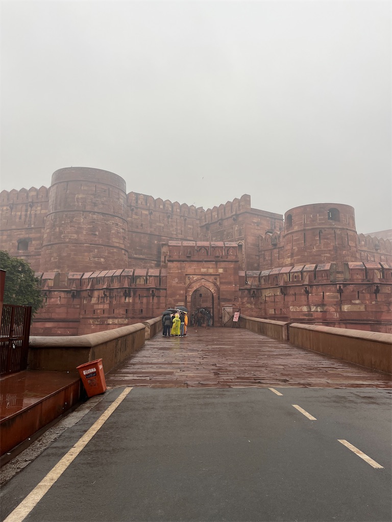 f:id:chizuchizuko:20250222205519j:image f:id:chizuchizuko:20250222205519j:image