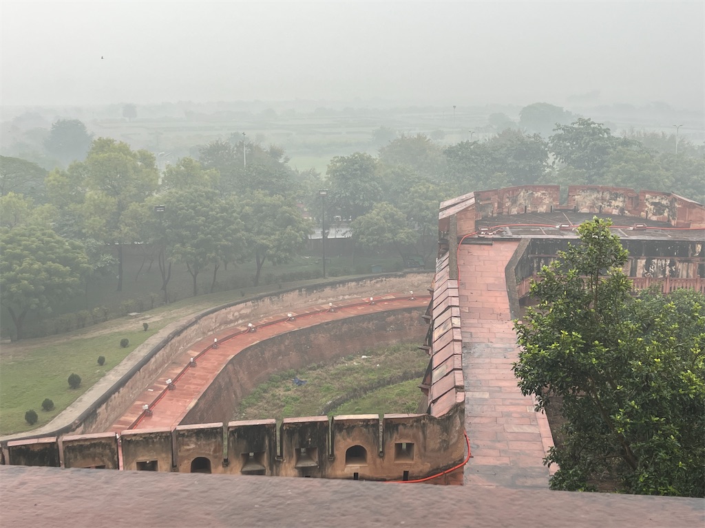 f:id:chizuchizuko:20250222205557j:image f:id:chizuchizuko:20250222205557j:image