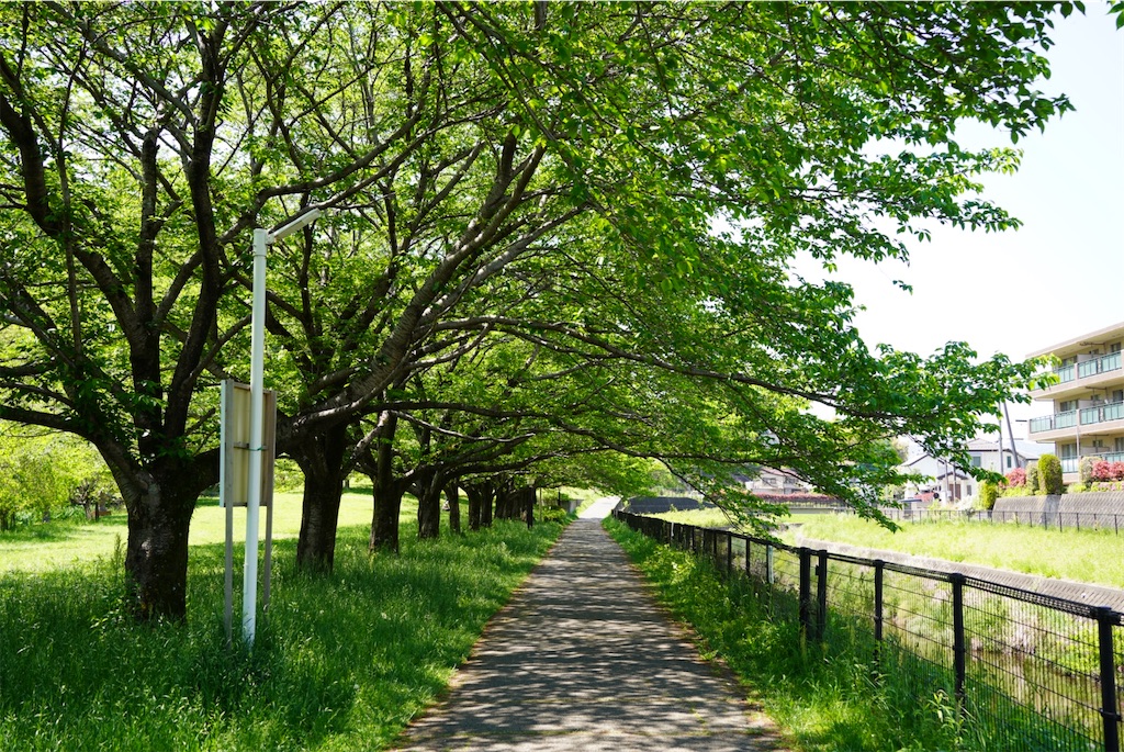 f:id:chizuchizuko:20250430212351j:image f:id:chizuchizuko:20250430212351j:image