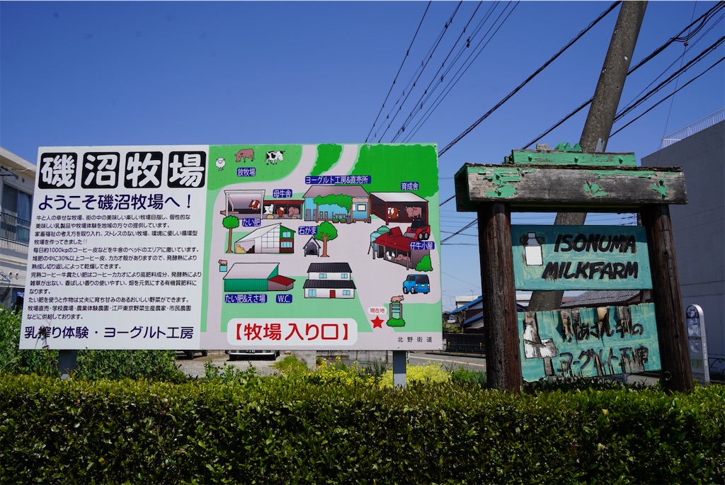 f:id:chizuchizuko:20250430212448j:image f:id:chizuchizuko:20250430212448j:image