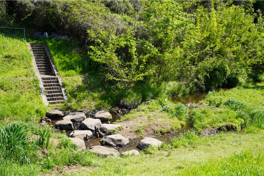 f:id:chizuchizuko:20250430212534j:image f:id:chizuchizuko:20250430212534j:image