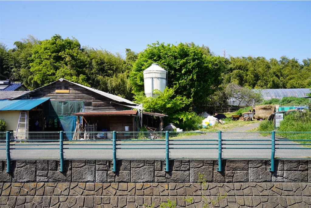 f:id:chizuchizuko:20250430212542j:image f:id:chizuchizuko:20250430212542j:image